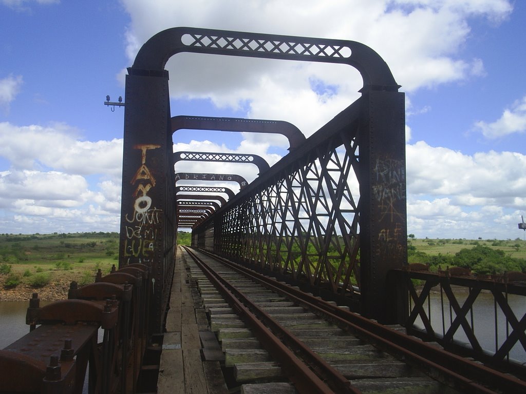 Rio Arapey desde el Puente Ferrocarrilero by rdmg3318