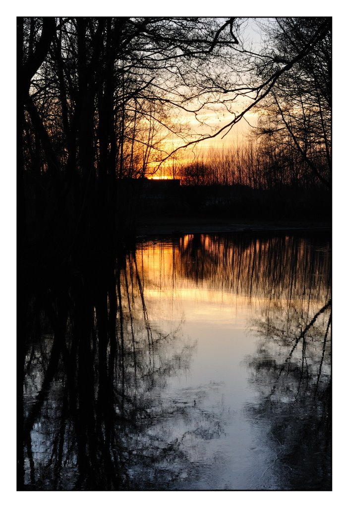 On Golden Pond by Colin Hughes