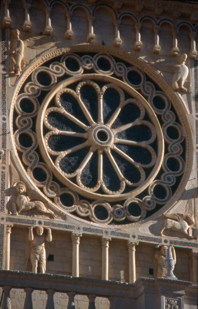 Rosone del Duomo, Spoleto by Alessandro Paccagnini