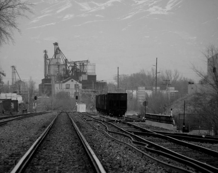 Silver cup & tracks by spencer baugh