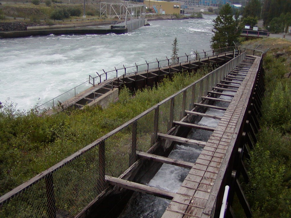 Fishway below Yukon Energy Dam at Whitehorse by Eric Viklund