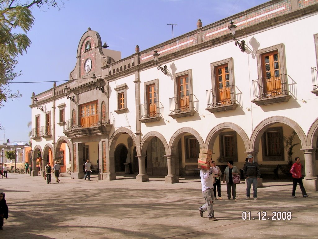 Tonala Palacio Municipal by faroviejo