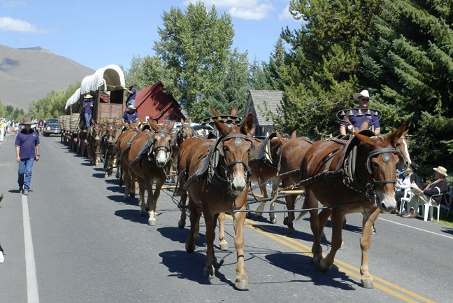 Ore Wagons, Wagon Days, Ketchum by larkspur