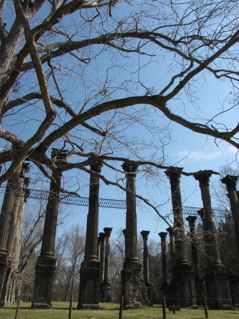 Ruins of Windsor, Port Gibson, Mississippi by zacharystewart