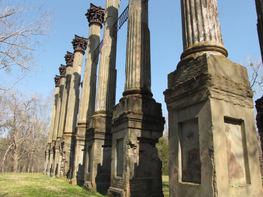 Ruins of Windsor, Port Gibson, Mississippi by zacharystewart