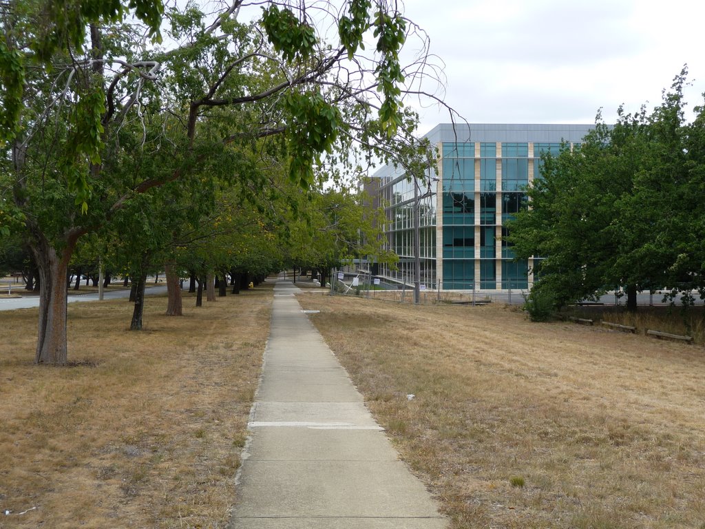 Looking down Kings Ave by Peter Wright