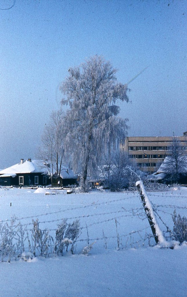 Зима 1984 г, Томск, Район остановки "Южная", Сканировано со слайдов / Winter 1984, Tomsk, County stop "South", scanned from slides by Vladimir Kharitonov