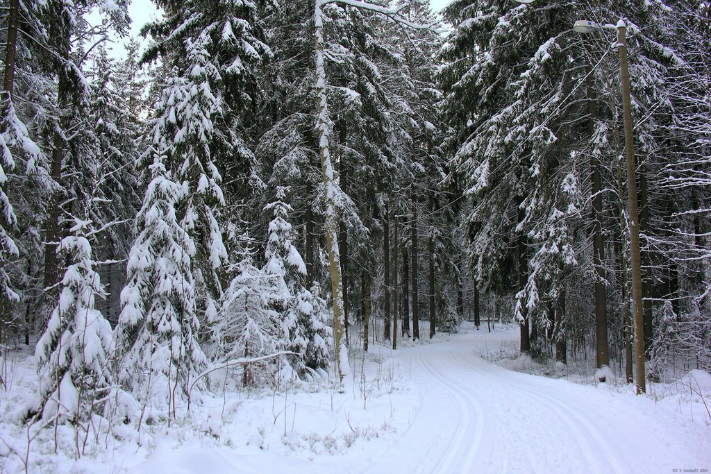 Kaarre ennen Metsäläntietä by T.K.Sundvall