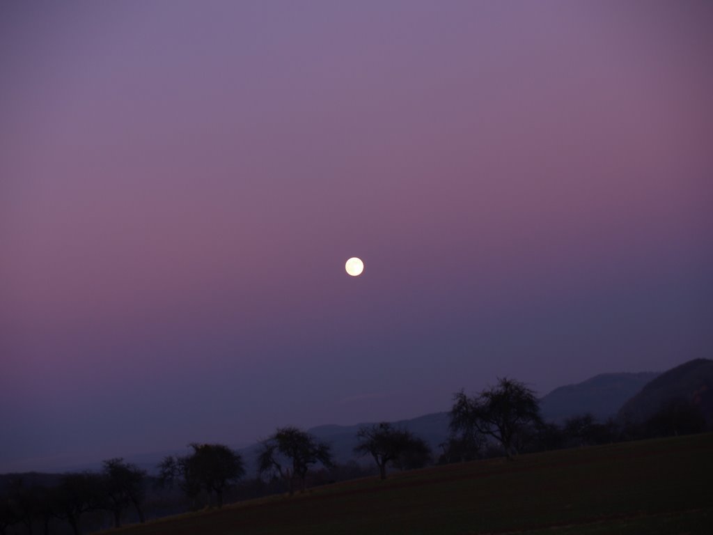 LUNE by Nicolas Verdureau