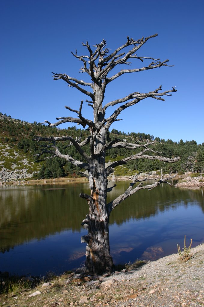 Lagunas de Neila by -Charly-