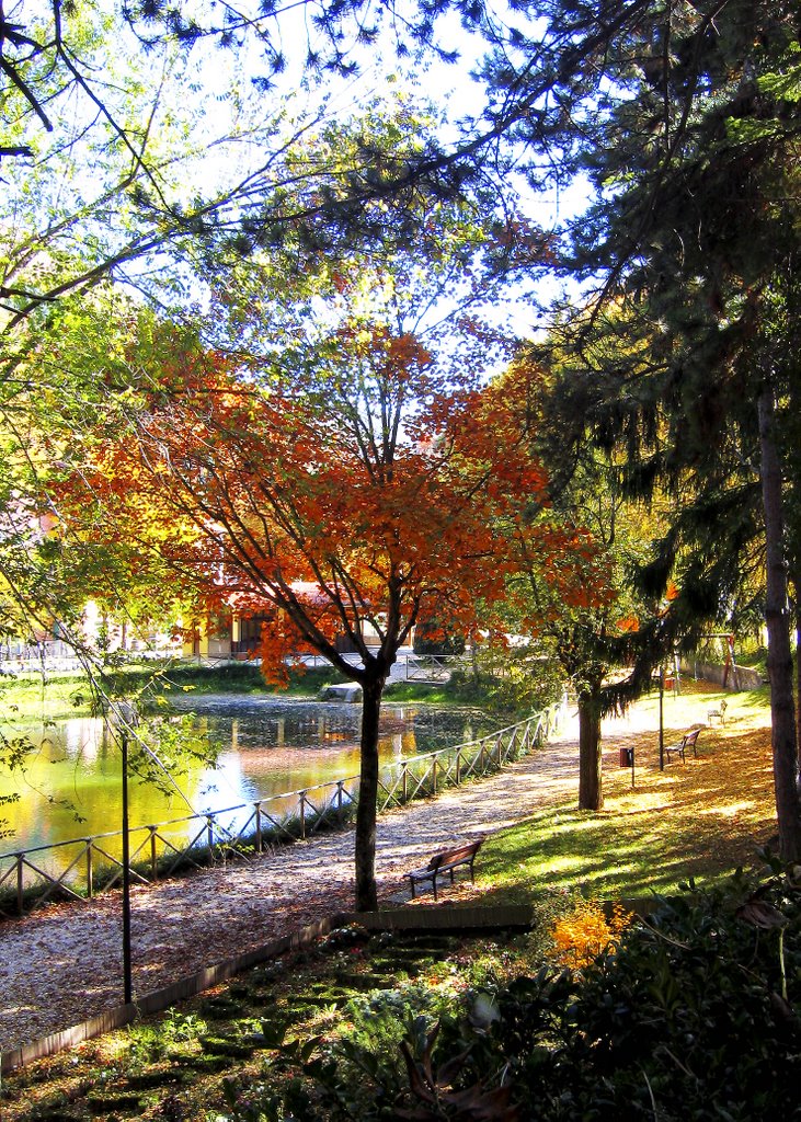 Giardini del lago by Edoardo Carioli