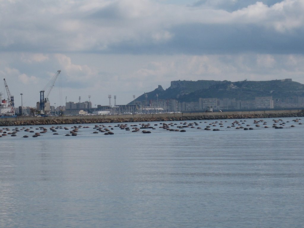 Cagliari sella del diavolo da porto canale by gianni60