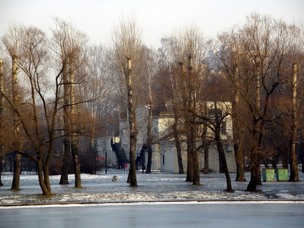 Moskovsky District, St Petersburg, Russia by Yuri Sedunov