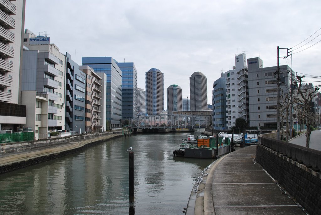 Kamejima-gawa (Kamejima River) 亀島川 (2009.02.28) by k.takita