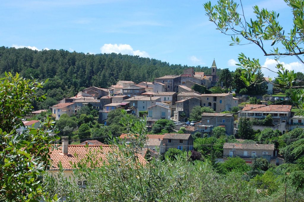 Vue depuis la salle des oliviers by Serge Ferreux