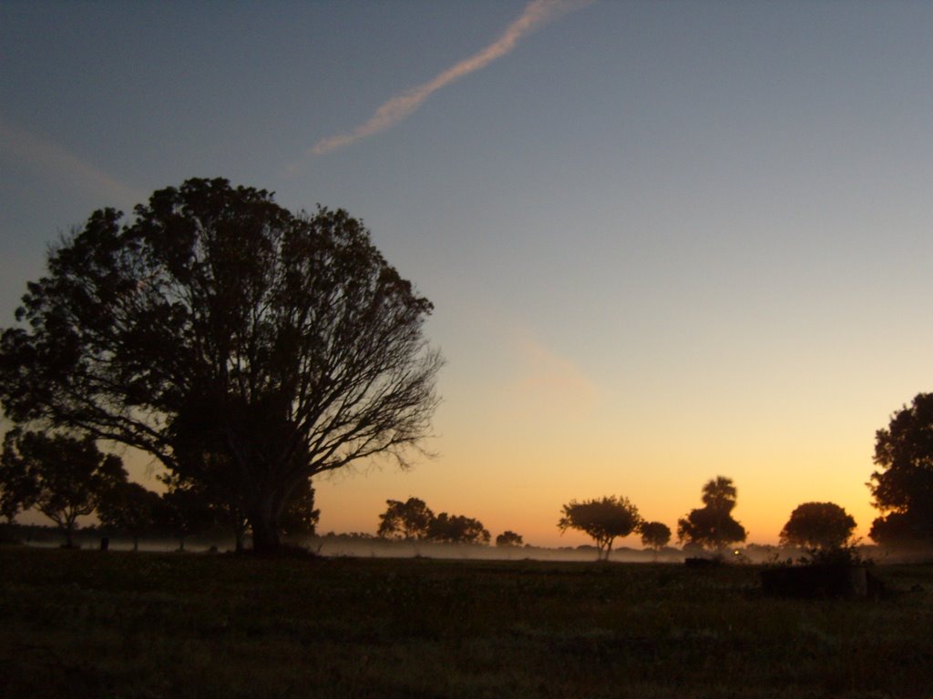 Early in the morning, winter 2009 by Micheil