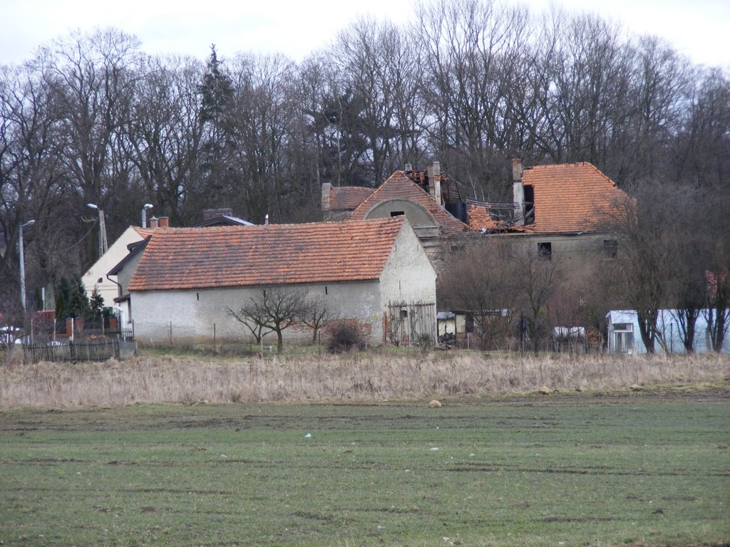 Zuków -wieś w gminie Polkowice,Widok walącego sie dachu dworku 2009r by Andrzej Brudziński