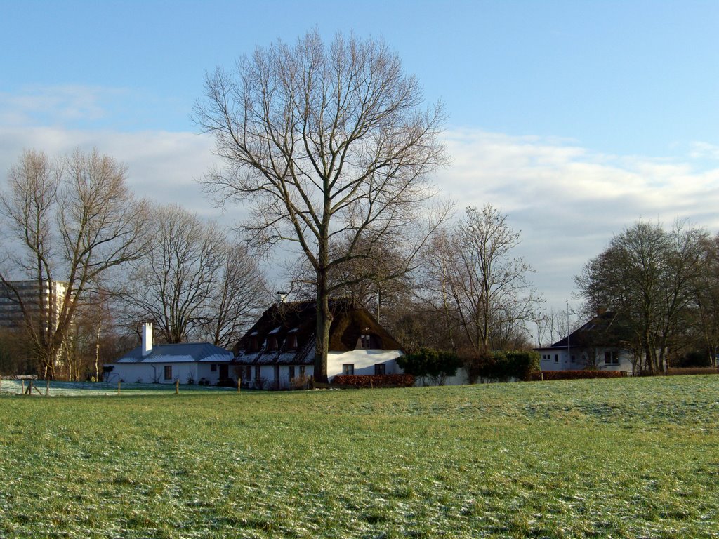 Flensburg, Januar 2009 by Frank Nadolni