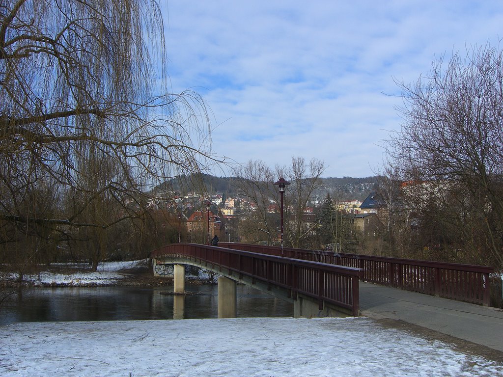 Lady walking a dog on the bridge. Jena. by vic03