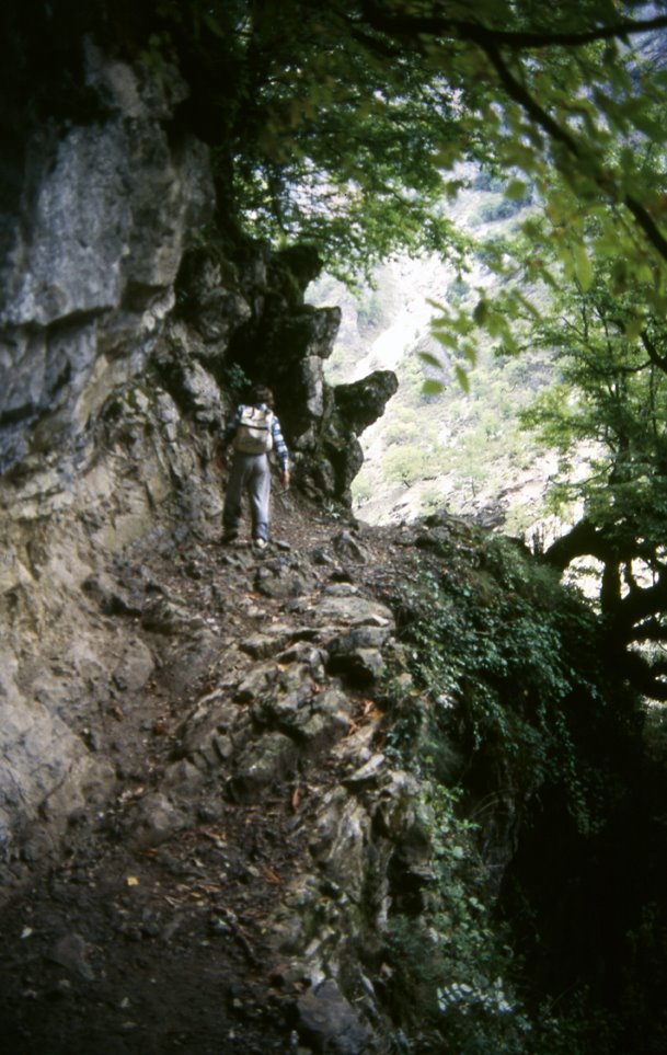 Crossing Vikos canyon-15 by Alexis Gl.