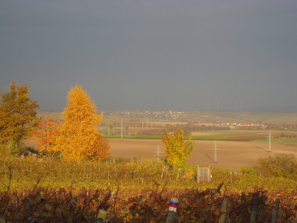 Nierstein, Herbst, Blick Richtung Zornheim by Martin Fry