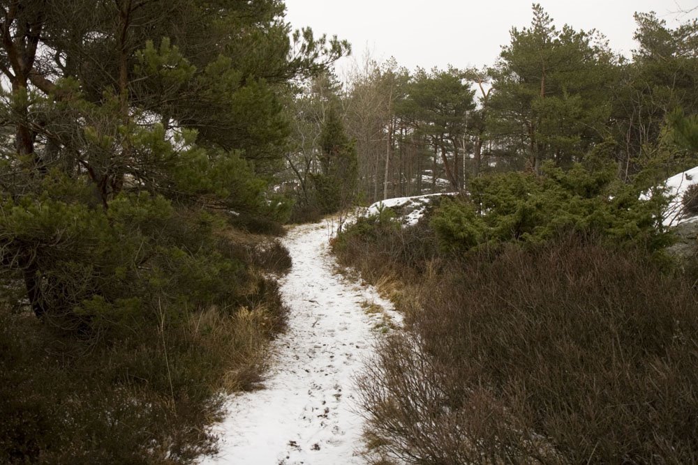 Torvemyr, Skaftö by Calle Fjällstål