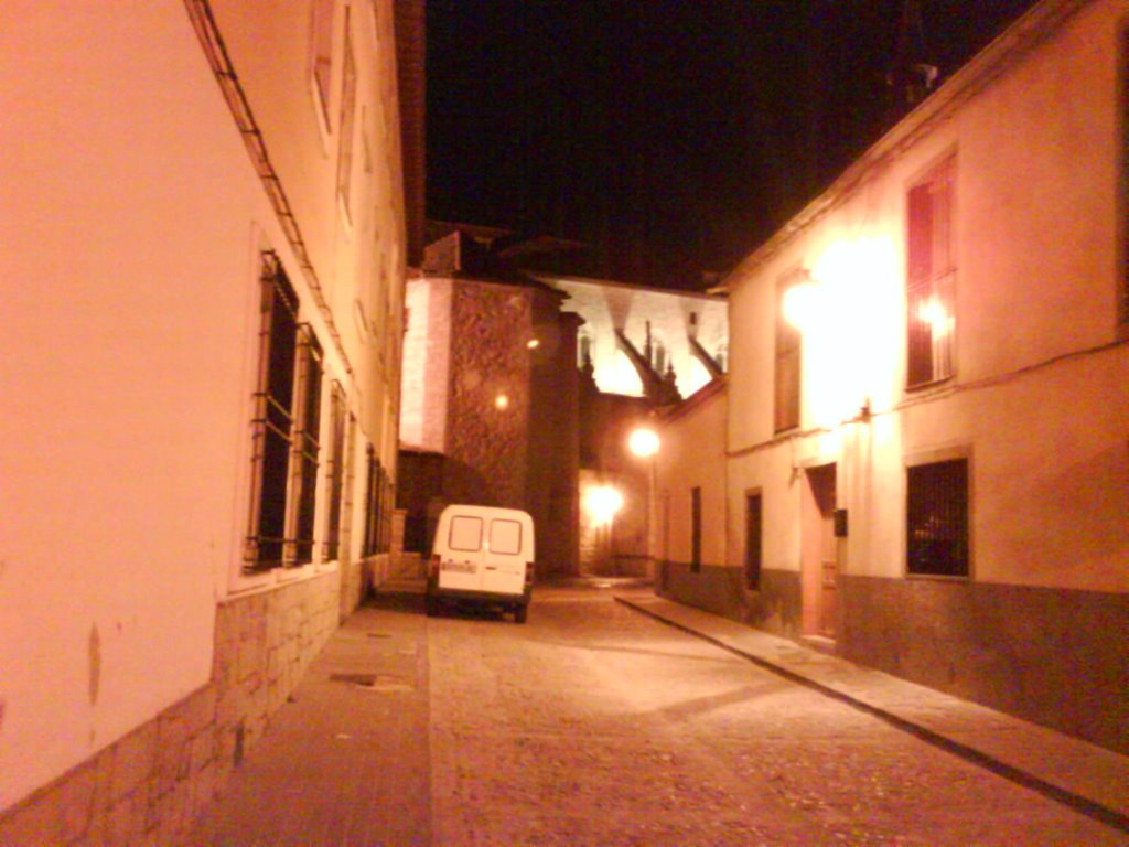 Vista nocturna de la Colegiata desde C/Cristo by Albërtûs J