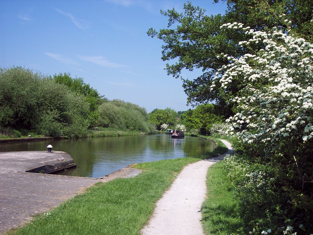 Lock no29 hatton by s.millward