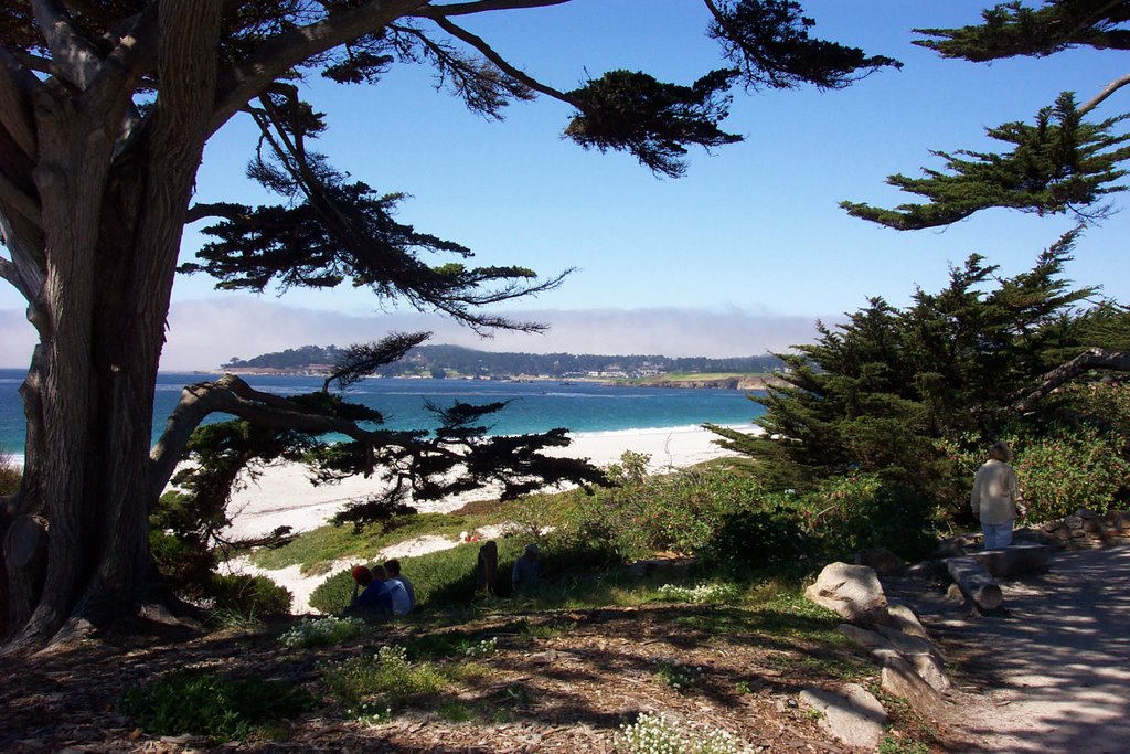 What can I say....Monterey by chester hammes