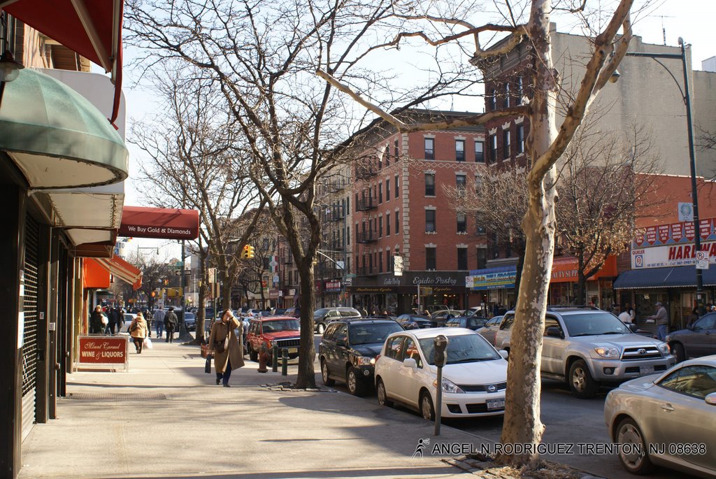 LITTLE ITALY by ANGEL N RODRIGUEZ