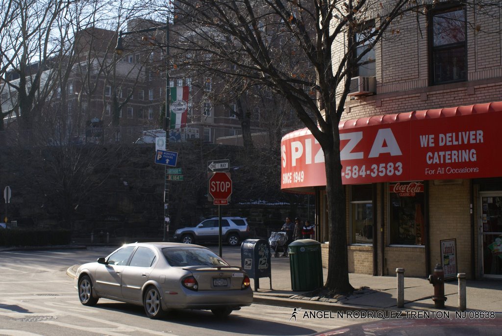 LITTLE ITALY by ANGEL N RODRIGUEZ