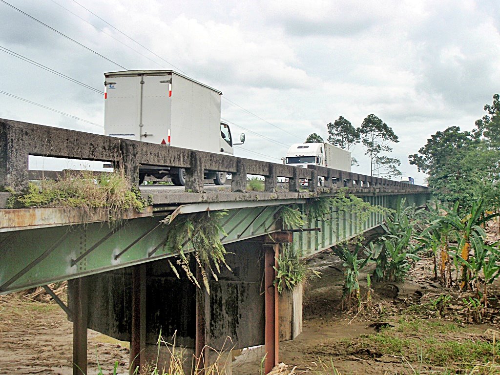 PUENTE SOBRE EL RIO CHIRRIPO-LIMON by Yamil Herrera A