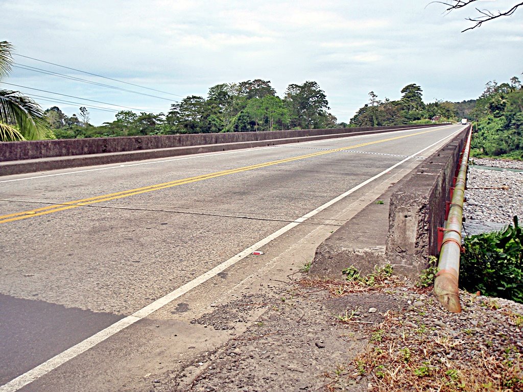 PUENTE SOBRE EL RIO PACUARE-CARRETERA A LIMON by Yamil Herrera A