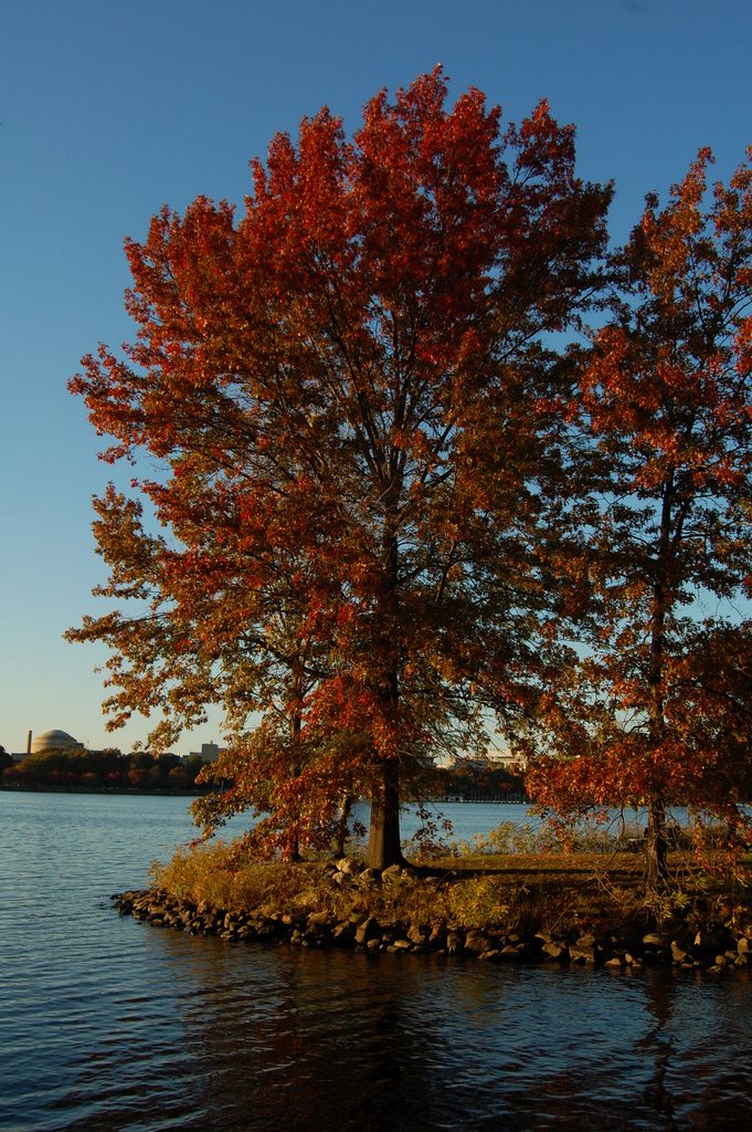 Back Bay West, Boston, MA, USA by Erik Ekman