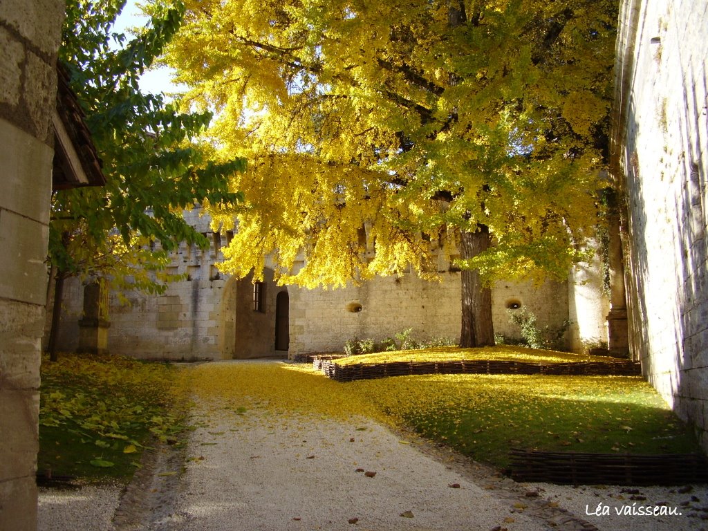 Chateau de Bourdeilles by Léa vaisseau