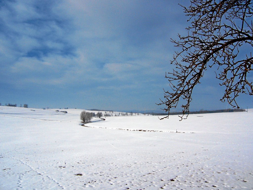 Bei den Immenhöfen by Andreas Metzger