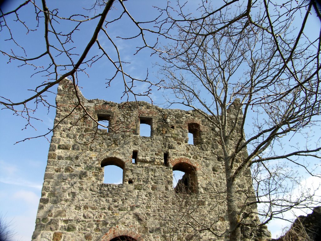 Ruine Niederhaus by JackyRippe