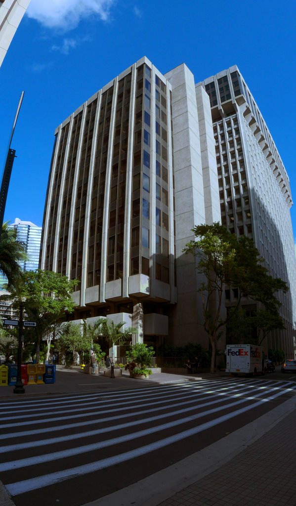 Fort Street Banks by John Vann