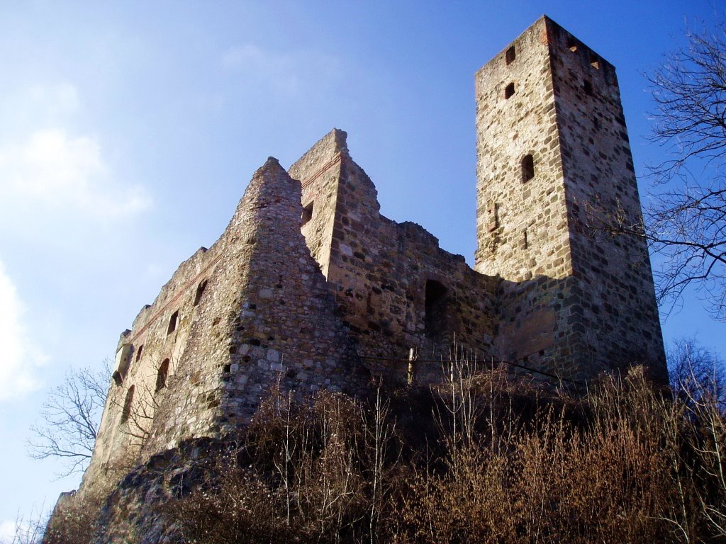 Ruine Niederhaus by JackyRippe