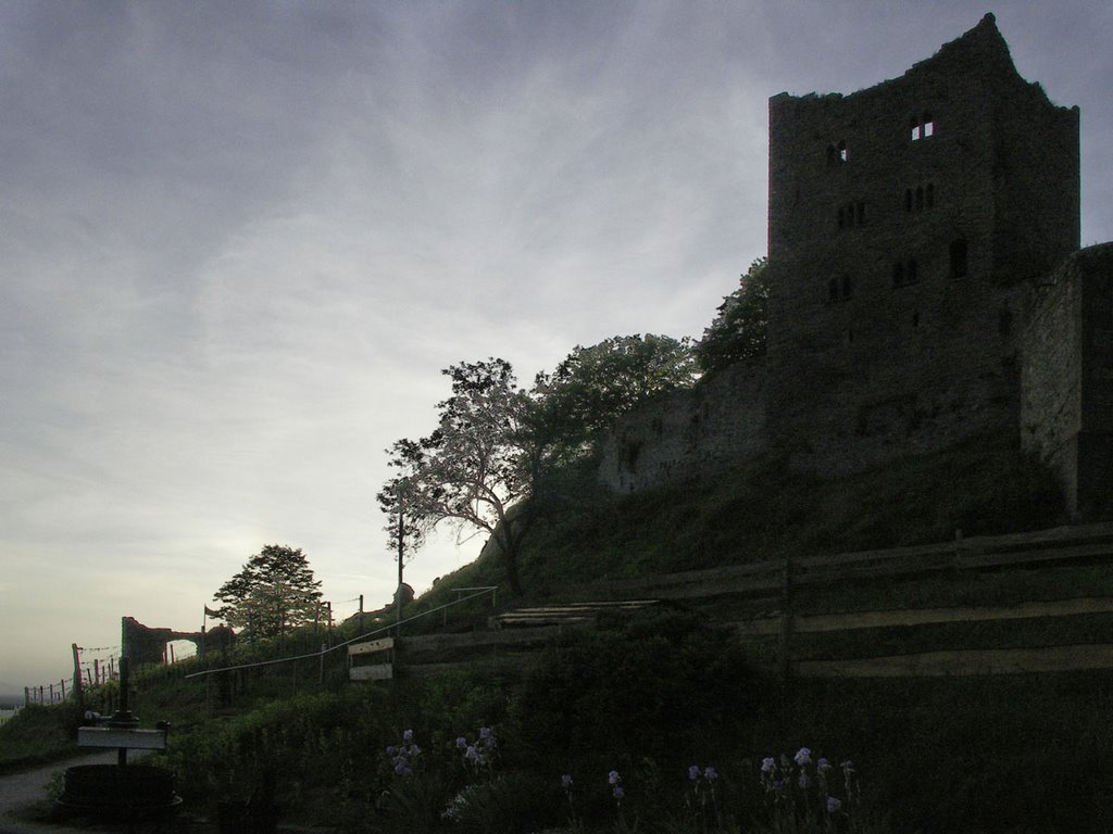 Château de Schauenburg au couchant by Henry Imbert