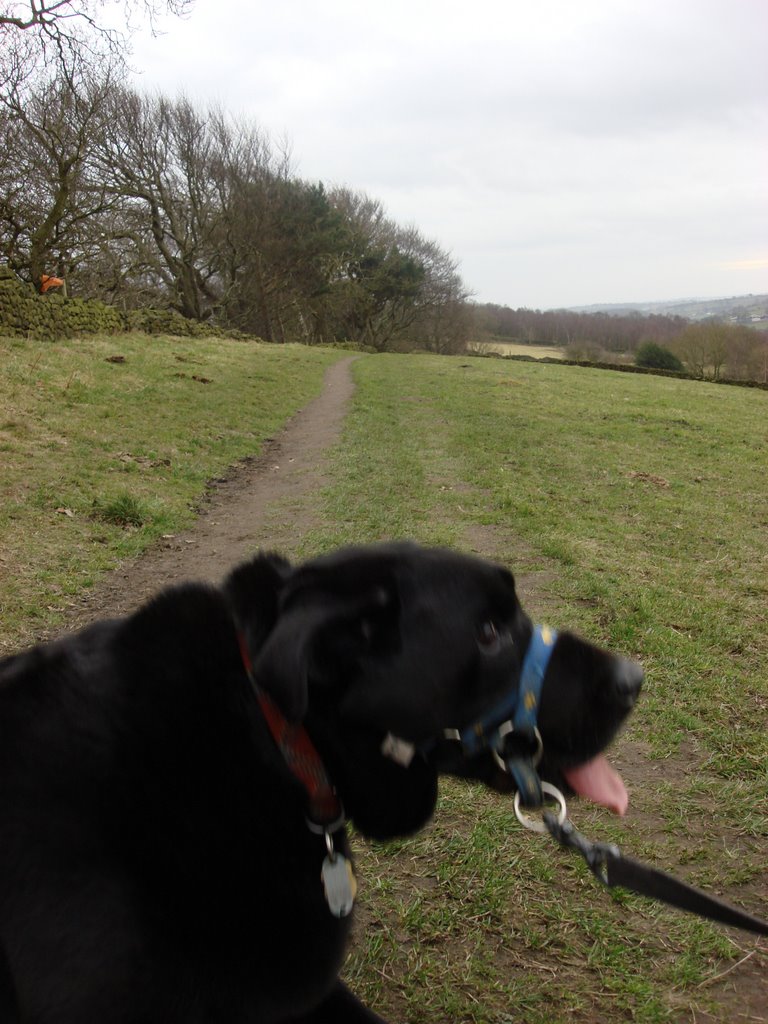 Geo-dog Sam having a rest stop. by geo-dog