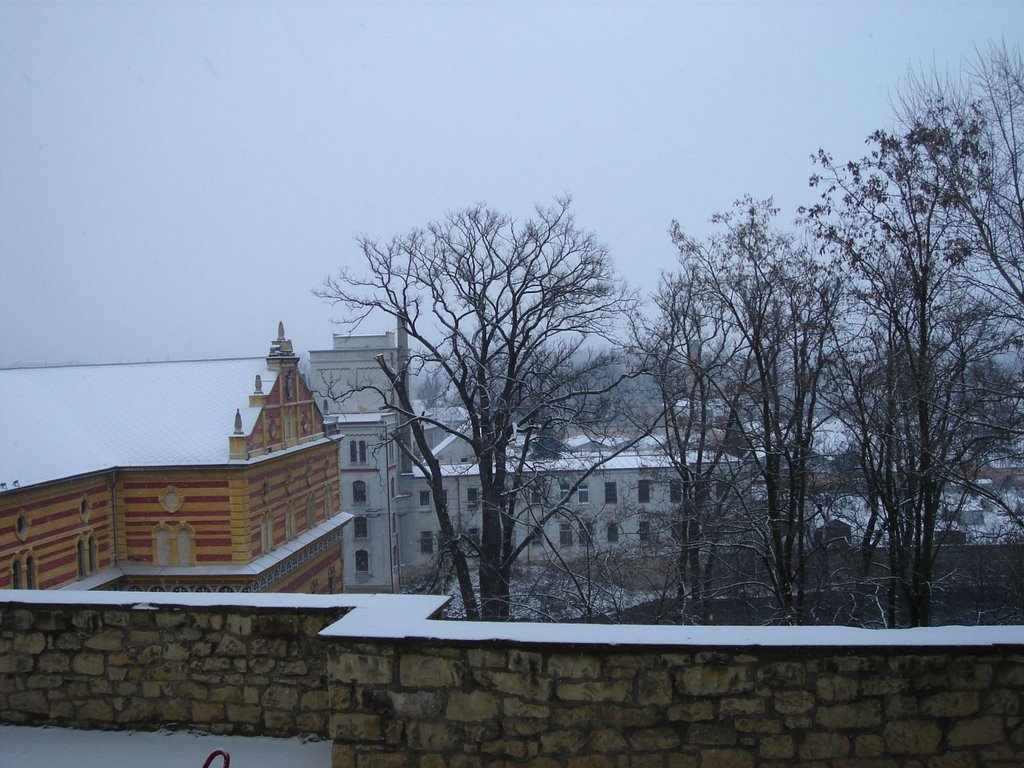 Louny - View North by txllxt