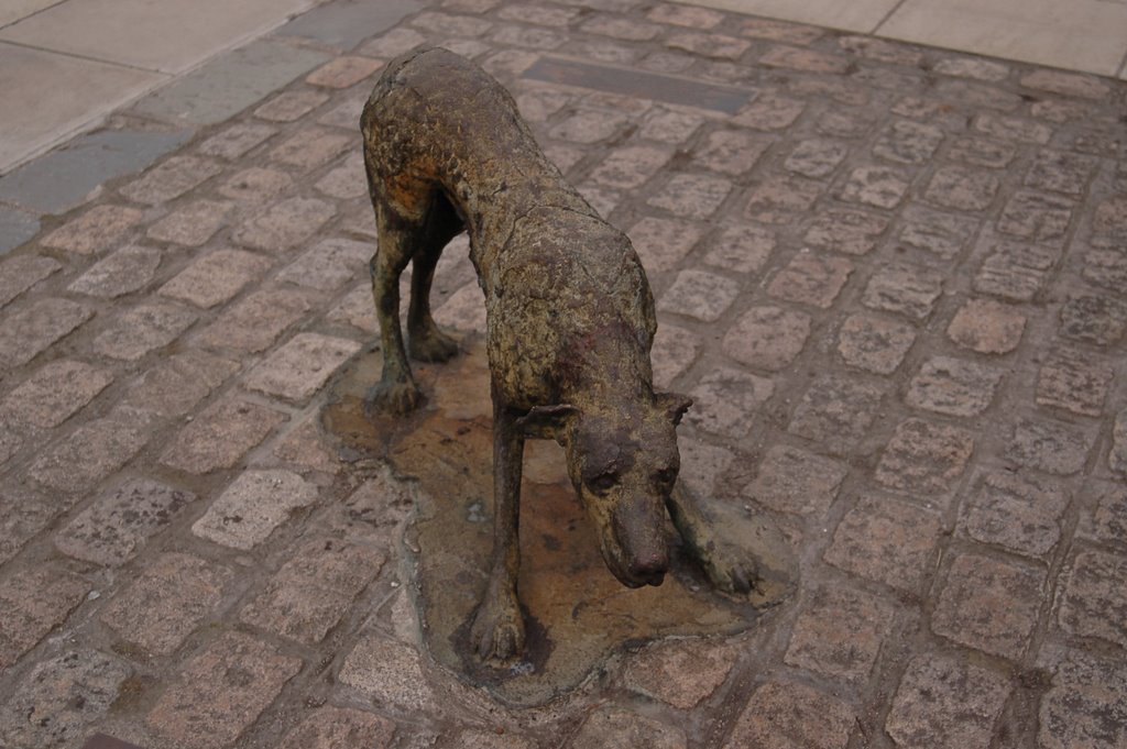 Sculpture chien by fenwik