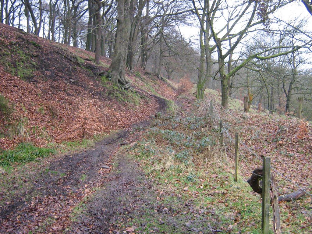 Leaving Hebden Bridge towards Stoodley Pike by Biddle Bear