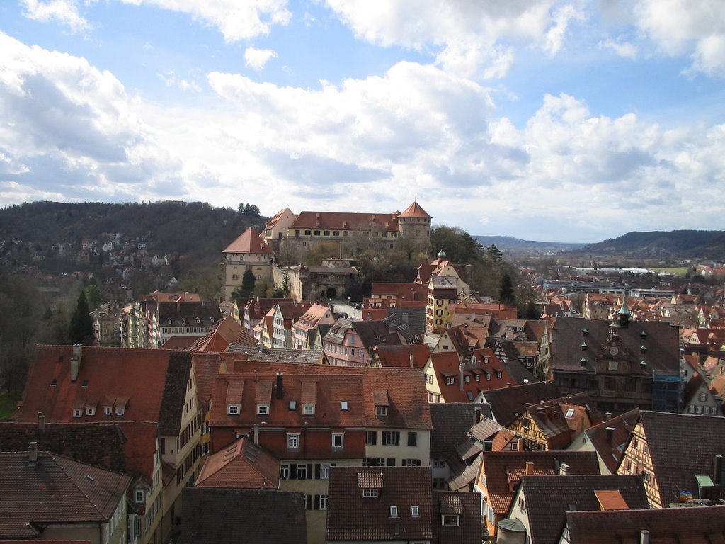 Schloss, Tuebingen by dbshields