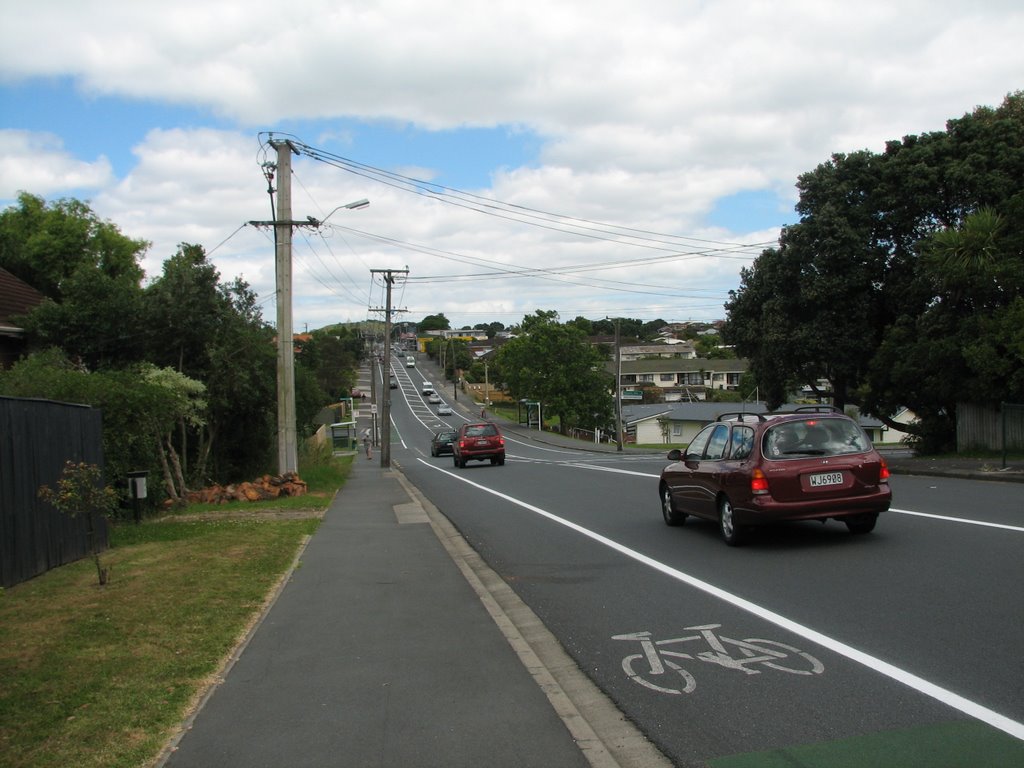 Lake Rd, Devonport, Auckland by junerin