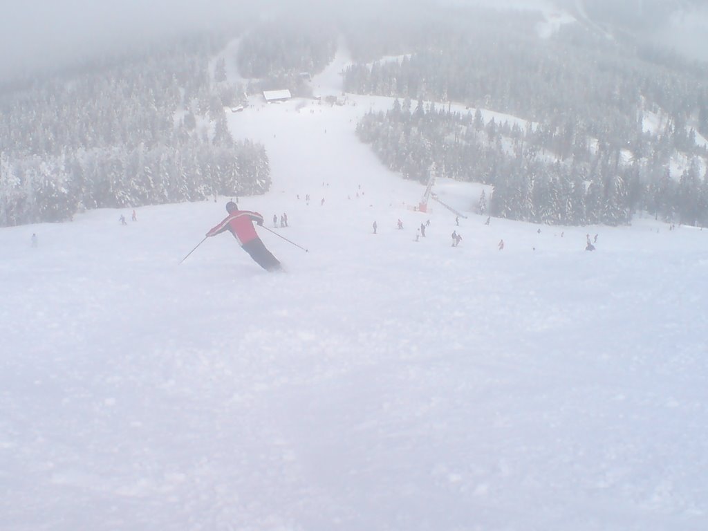 Skiing Area Bavarian Forest Arber by EDDY