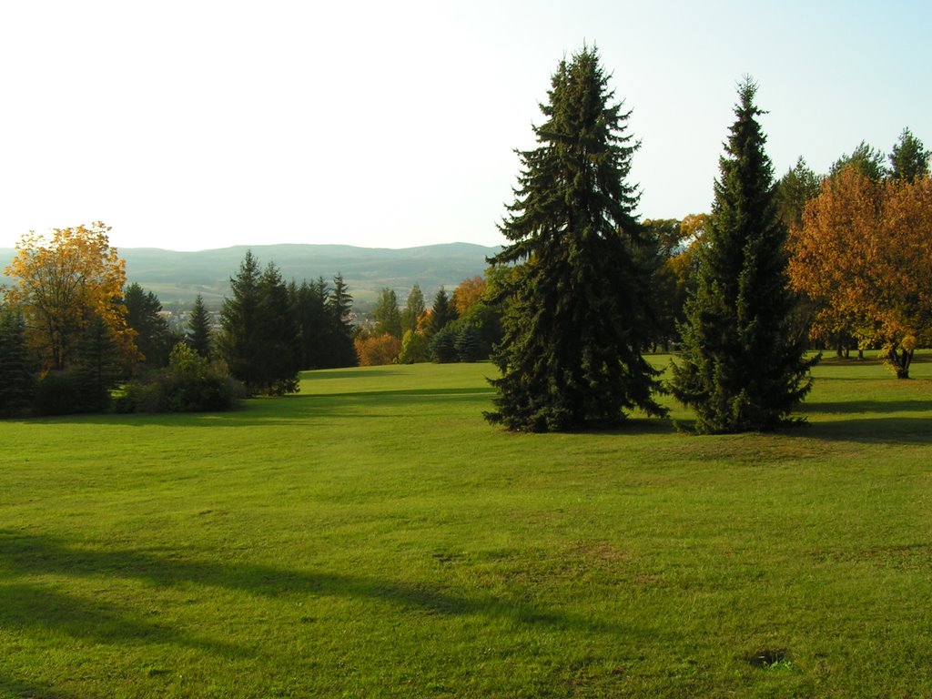 Park by Marek Rohoň