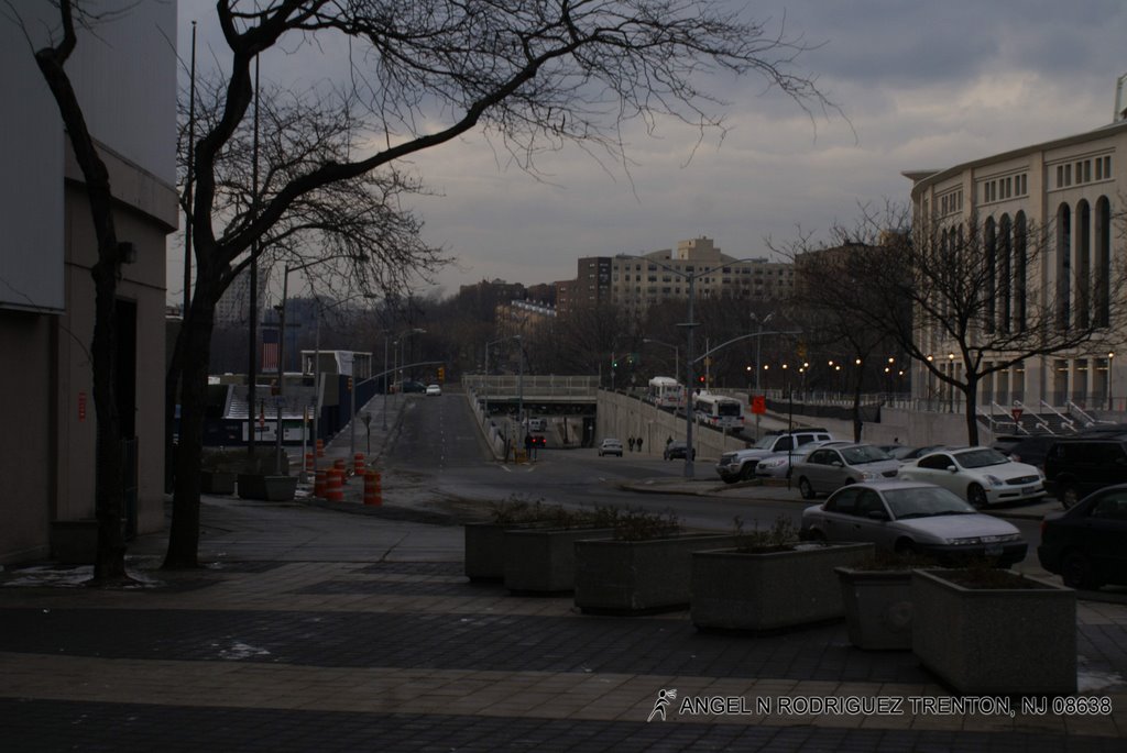 BRONX by ANGEL N RODRIGUEZ