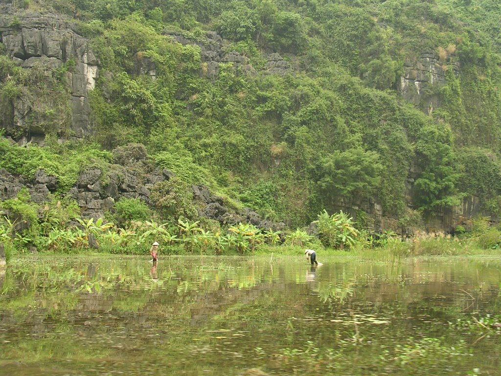 Tam Coc G by Glenn Sayers